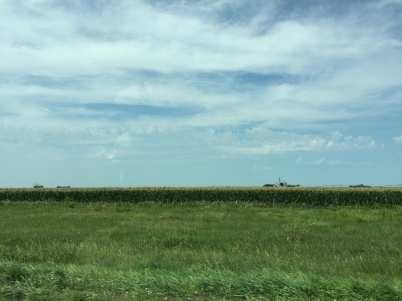 In the middle of Nebraska there is much corn