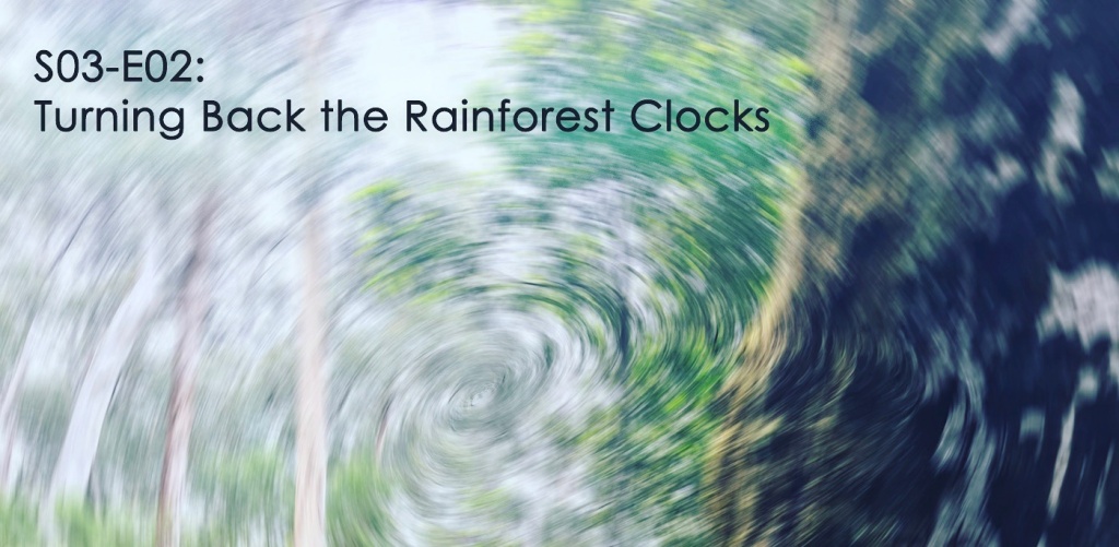 Sonic Encounters S03-02: Turning Back the Rainforest Clocks
